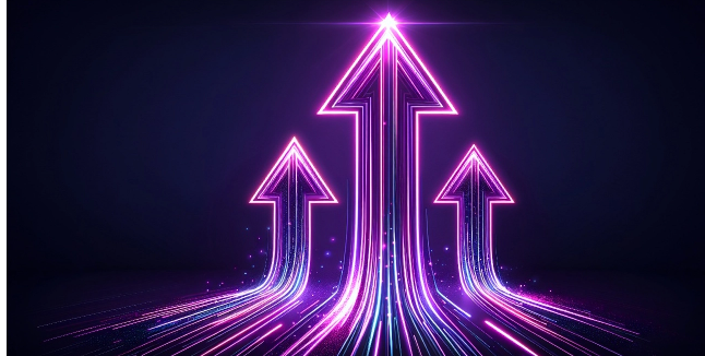 Manufacturing and Distribution Industry Services and Solutions