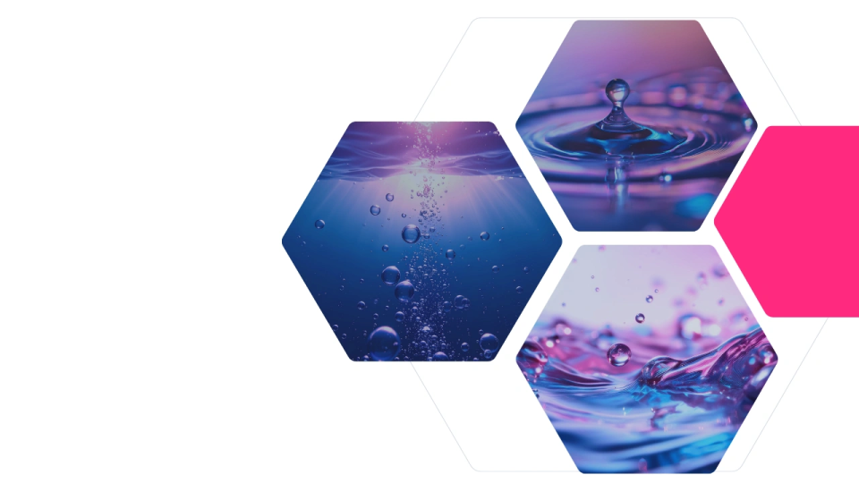 Visionet EVOLVE: An Agile and Structured Approach to Microsoft Dynamics 365