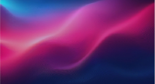 Apparel and Footwear Services - Visionet