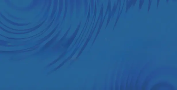 Power Platform Community Conference 2024 Power Platform Community Conference 2024