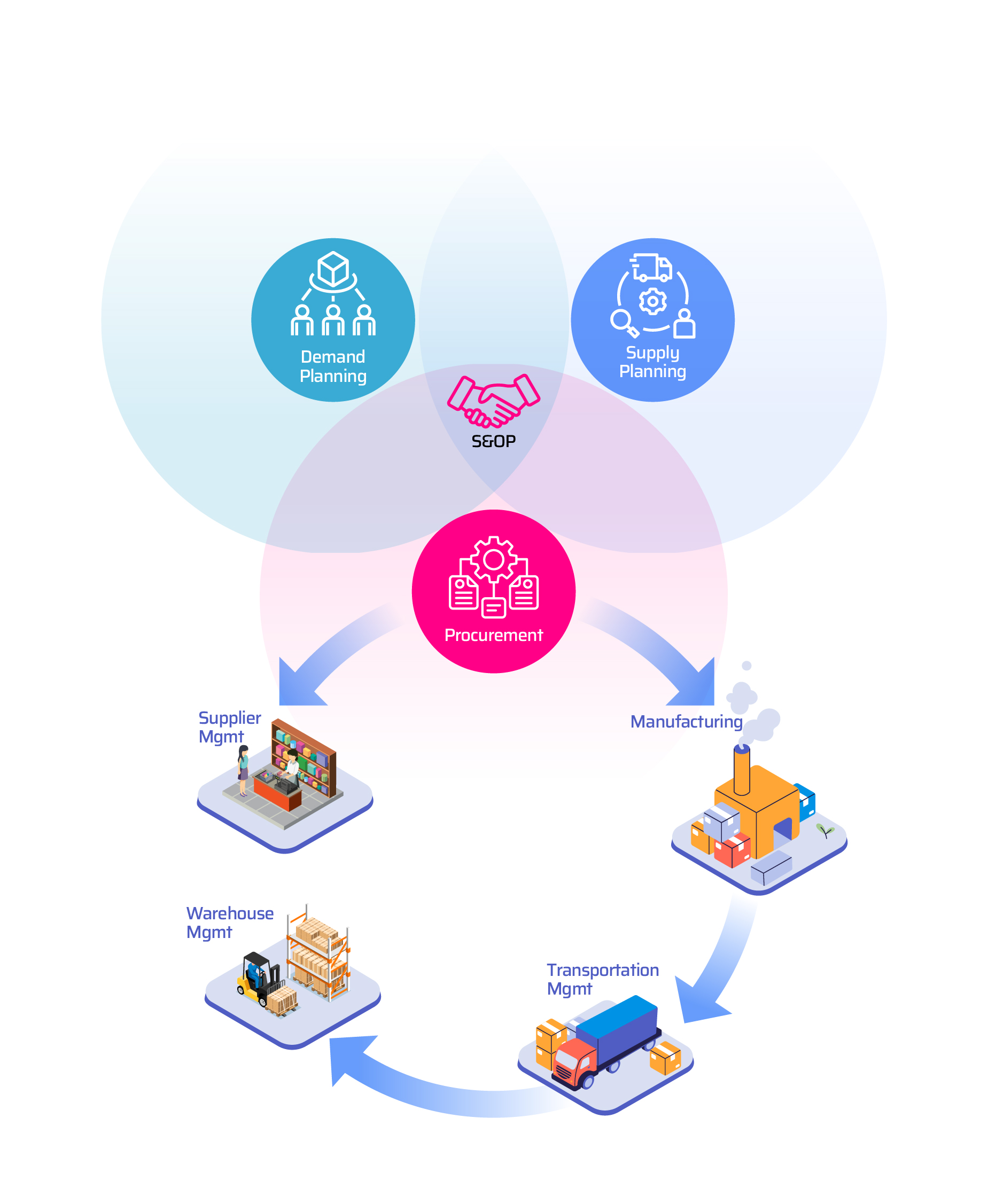 demand planning - visionet